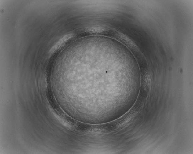 X0000064040734200601301148