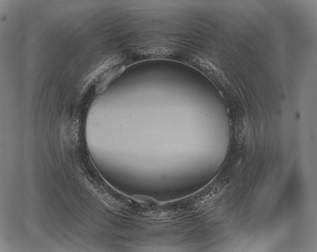 X0000064040735200601301148