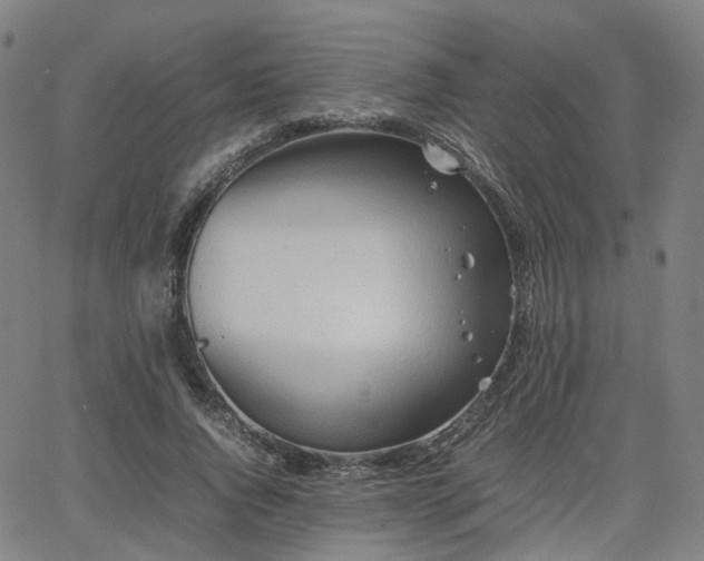 X0000064040736200601301148