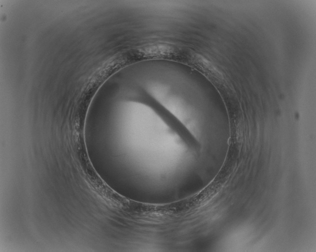 X0000064040737200601301148