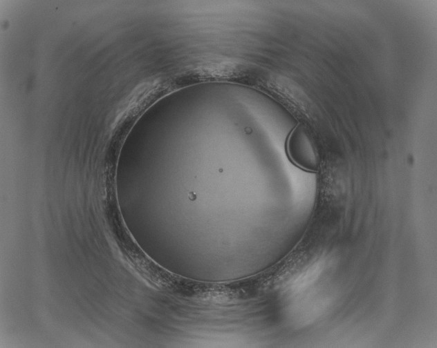 X0000064040738200601301148