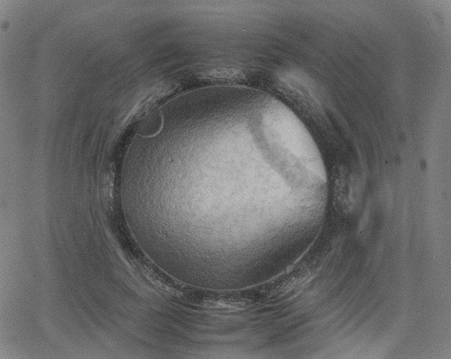 X0000064040739200601301148