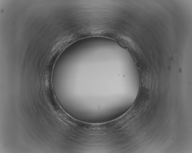 X0000064040740200601301148