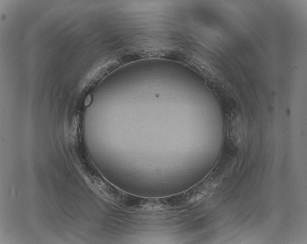 X0000064040742200601301148