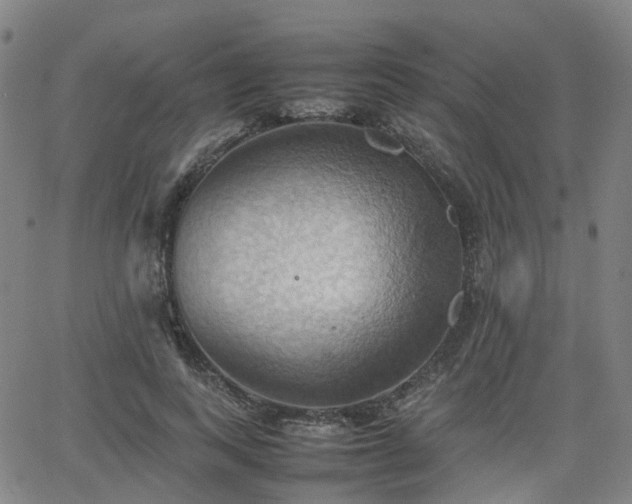 X0000064040743200601301148