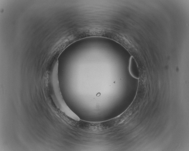 X0000064040744200601301148