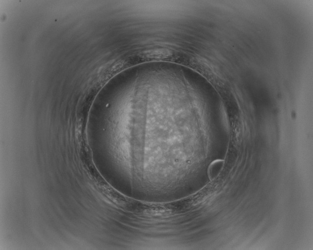 X0000064040745200601301148