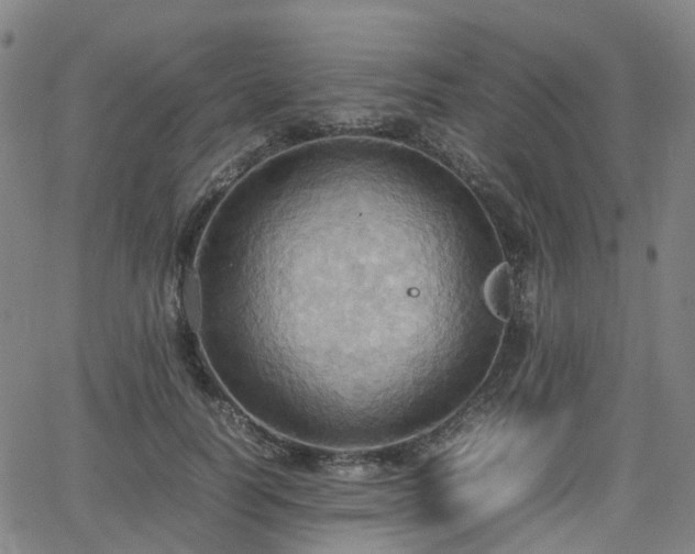 X0000064040746200601301148