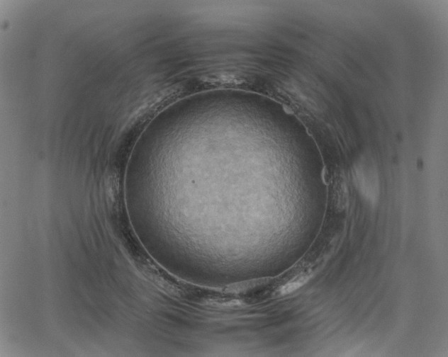 X0000064040747200601301148