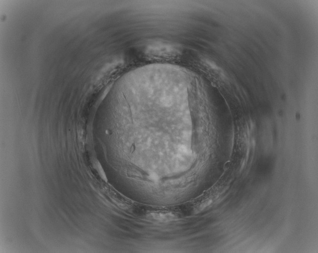 X0000064040749200601301148