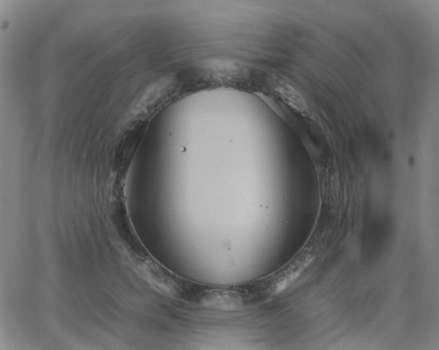 X0000064040750200601301148