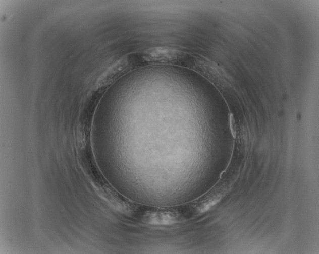 X0000064040751200601301148