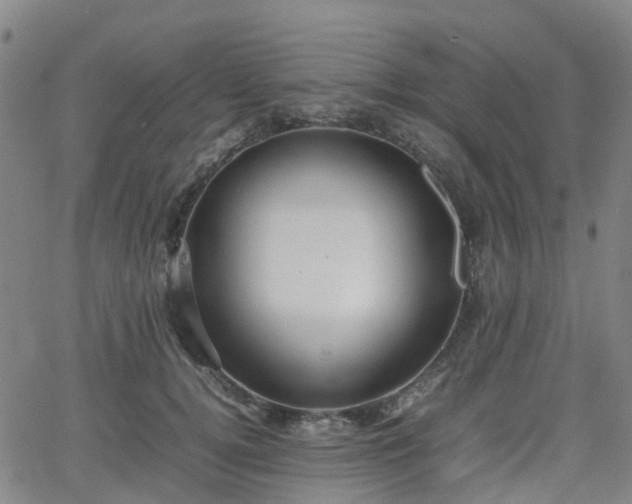 X0000064040752200601301148