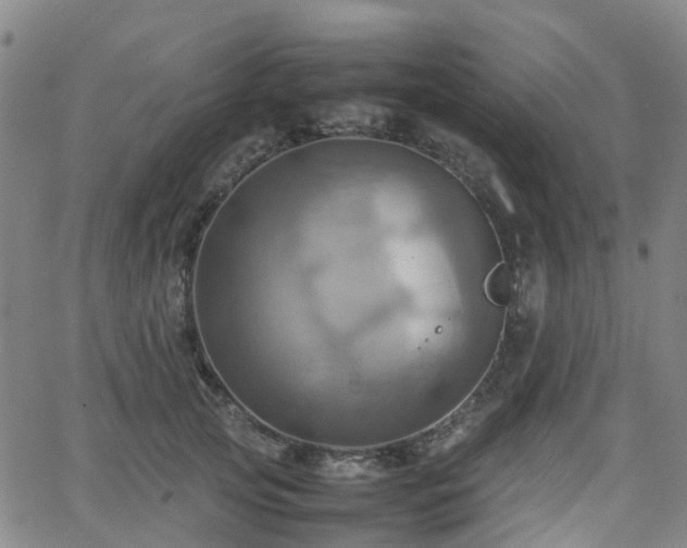 X0000064040753200601301148