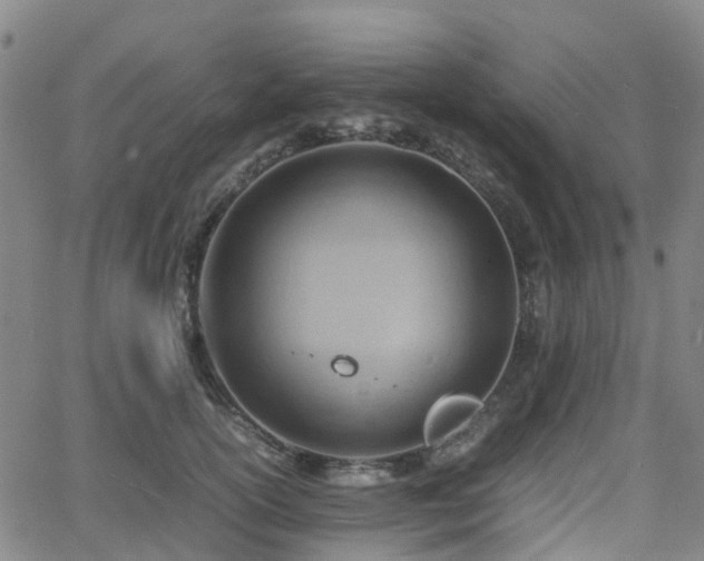 X0000064040754200601301148