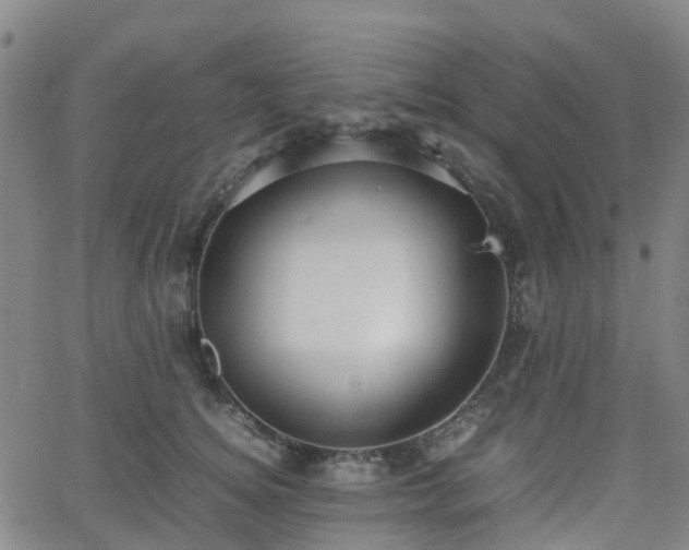 X0000064040756200601301148