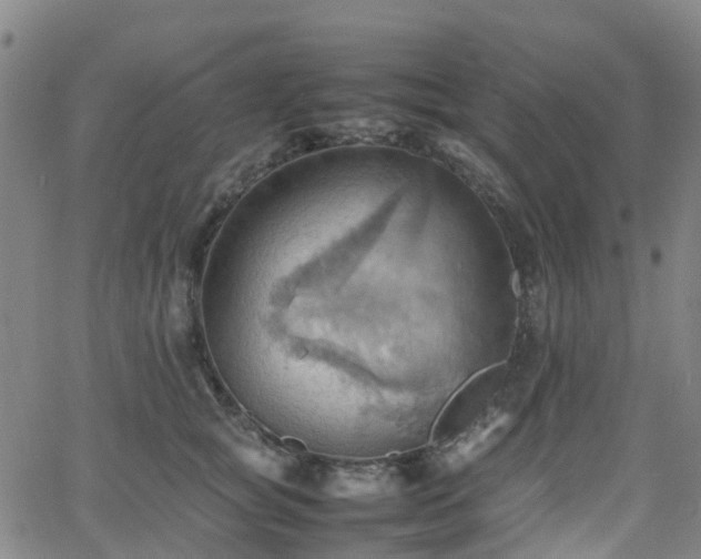 X0000064040757200601301148