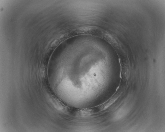 X0000064040758200601301148