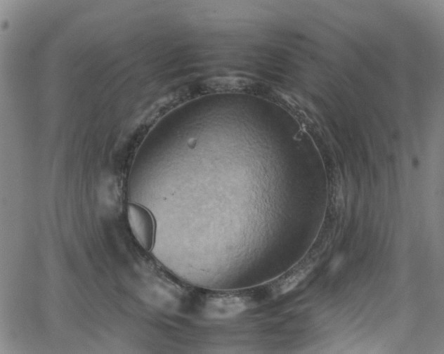 X0000064040759200601301148