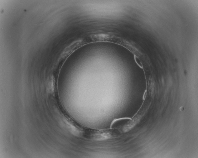 X0000064040760200601301148