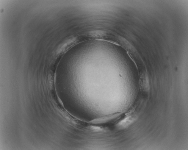 X0000064040762200601301148