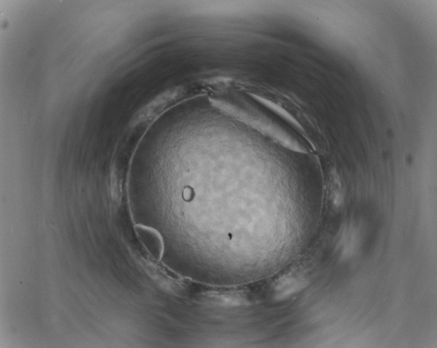 X0000064040763200601301148