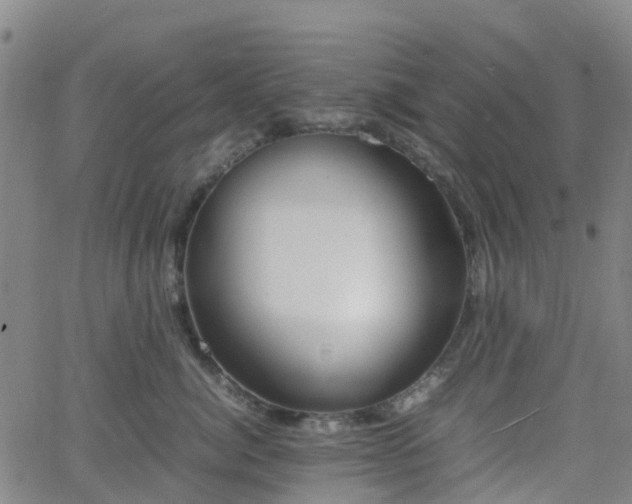 X0000064040764200601301148