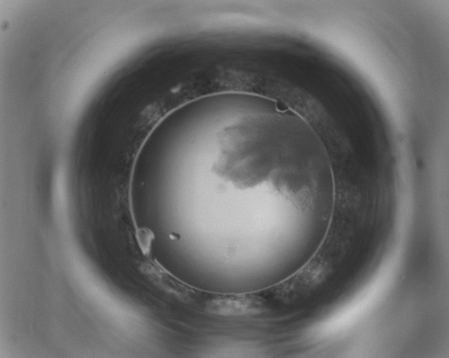 X0000064040765200601301148