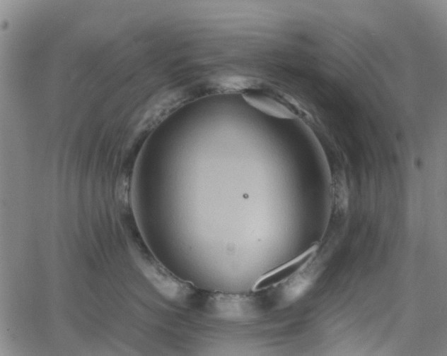 X0000064040766200601301148