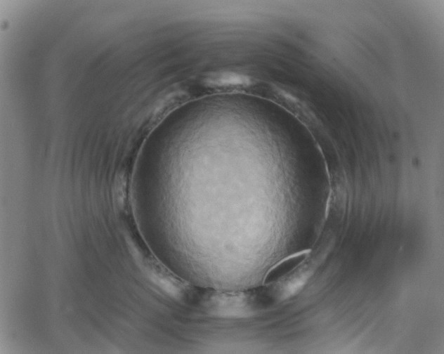 X0000064040767200601301148