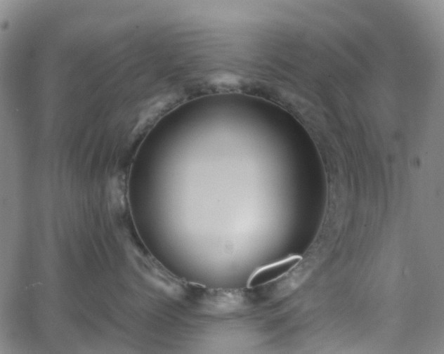 X0000064040768200601301148