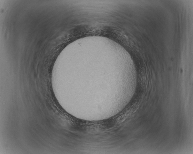 X0000064040769200601301148