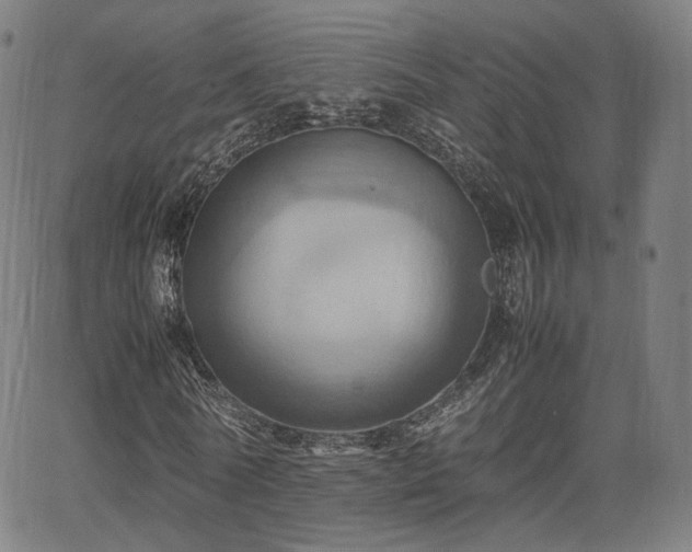 X0000064040770200601301148