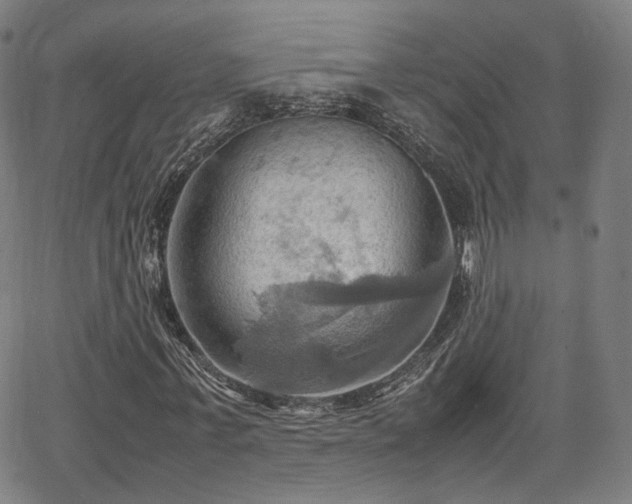 X0000064040771200601301148