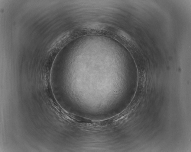 X0000064040774200601301147