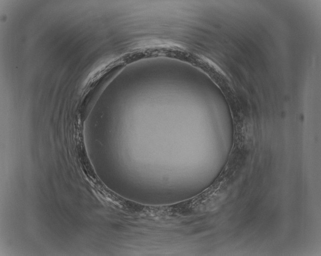 X0000064040775200601301147