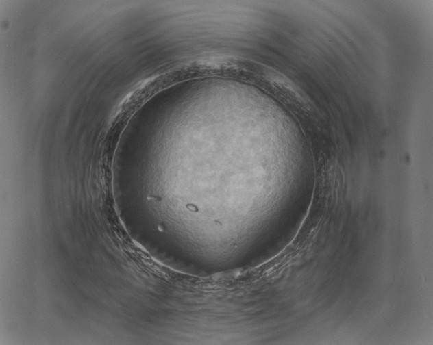 X0000064040776200601301147