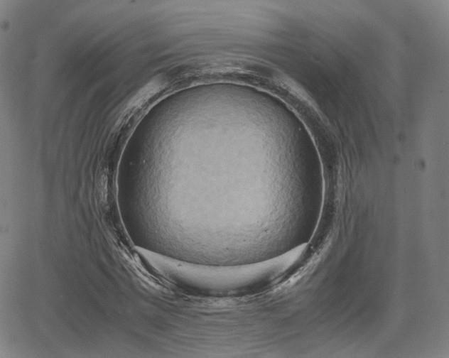 X0000064040777200601301147