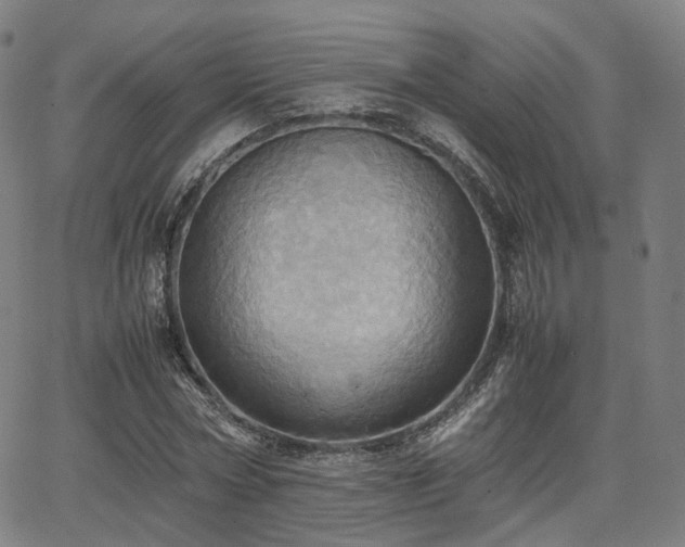 X0000064040778200601301147