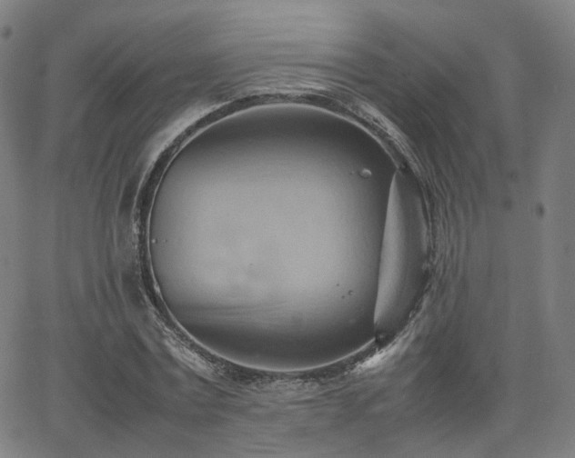 X0000064040779200601301147