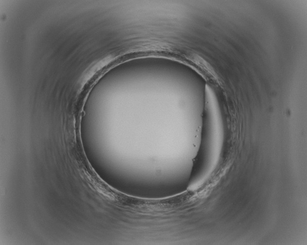 X0000064040781200601301147