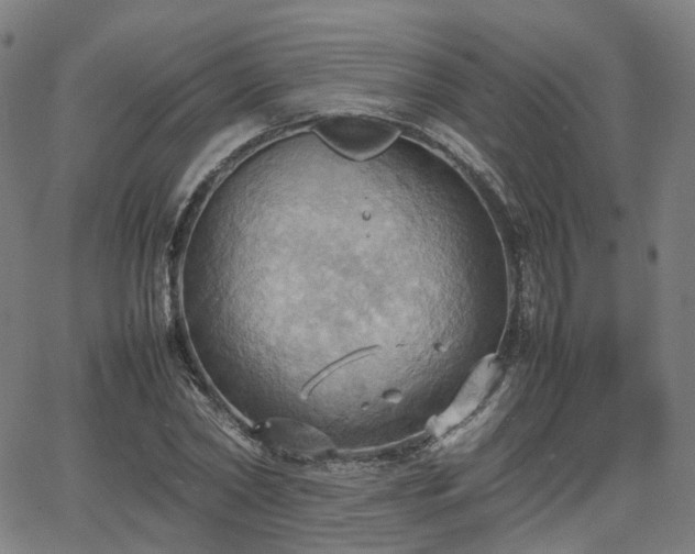 X0000064040782200601301147