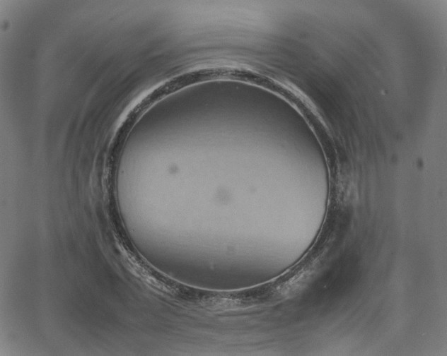 X0000064040783200601301147