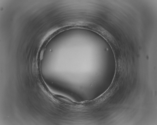 X0000064040784200601301147