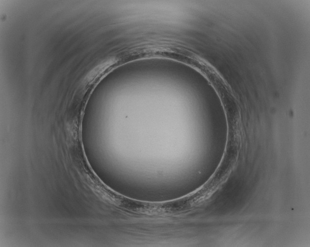 X0000064040785200601301147