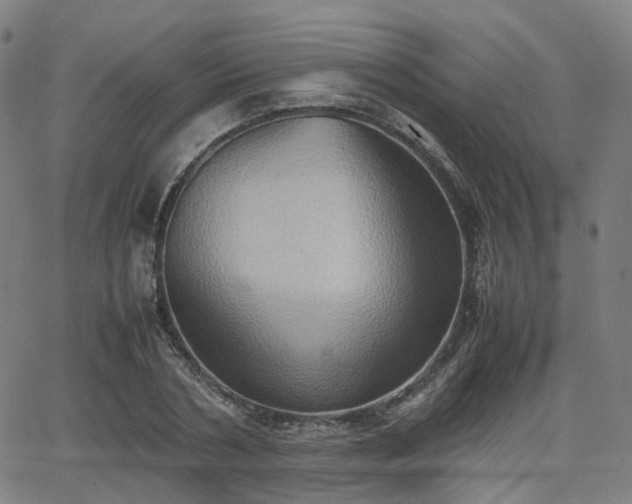 X0000064040786200601301147