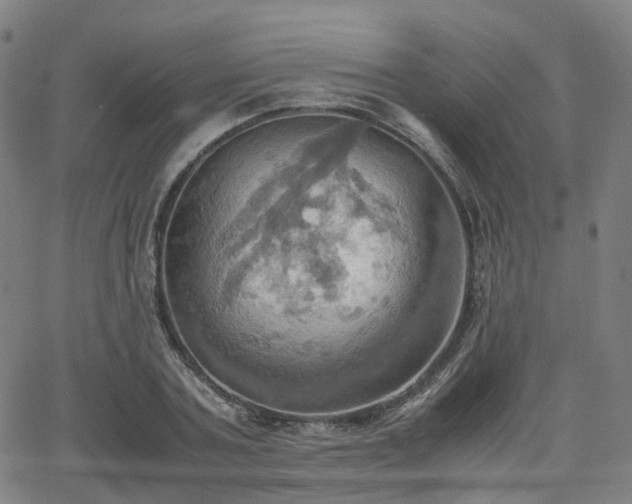 X0000064040787200601301147