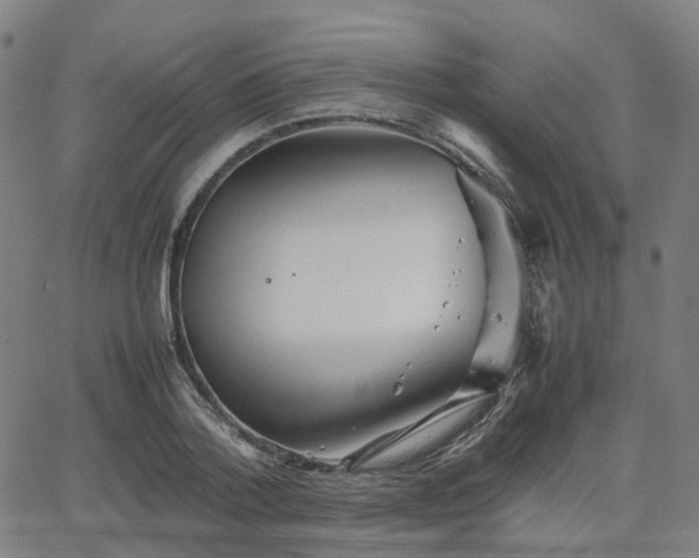 X0000064040788200601301147