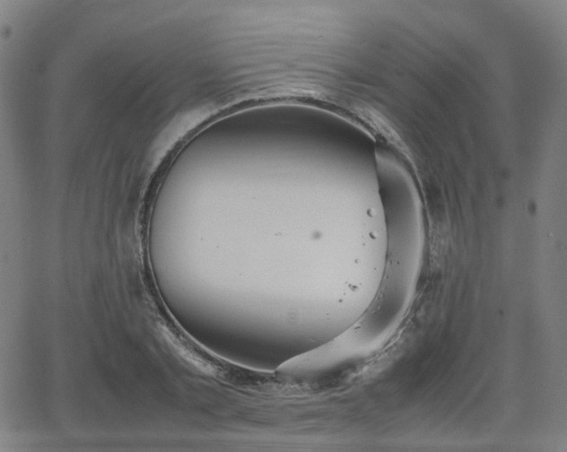 X0000064040789200601301147