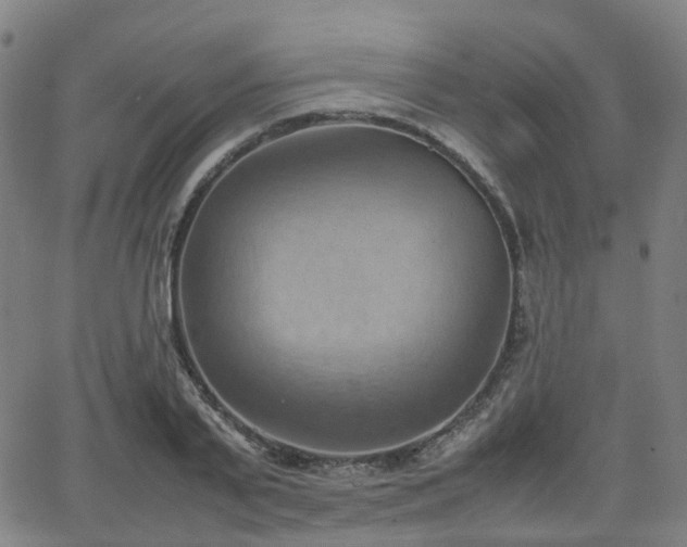 X0000064040791200601301147